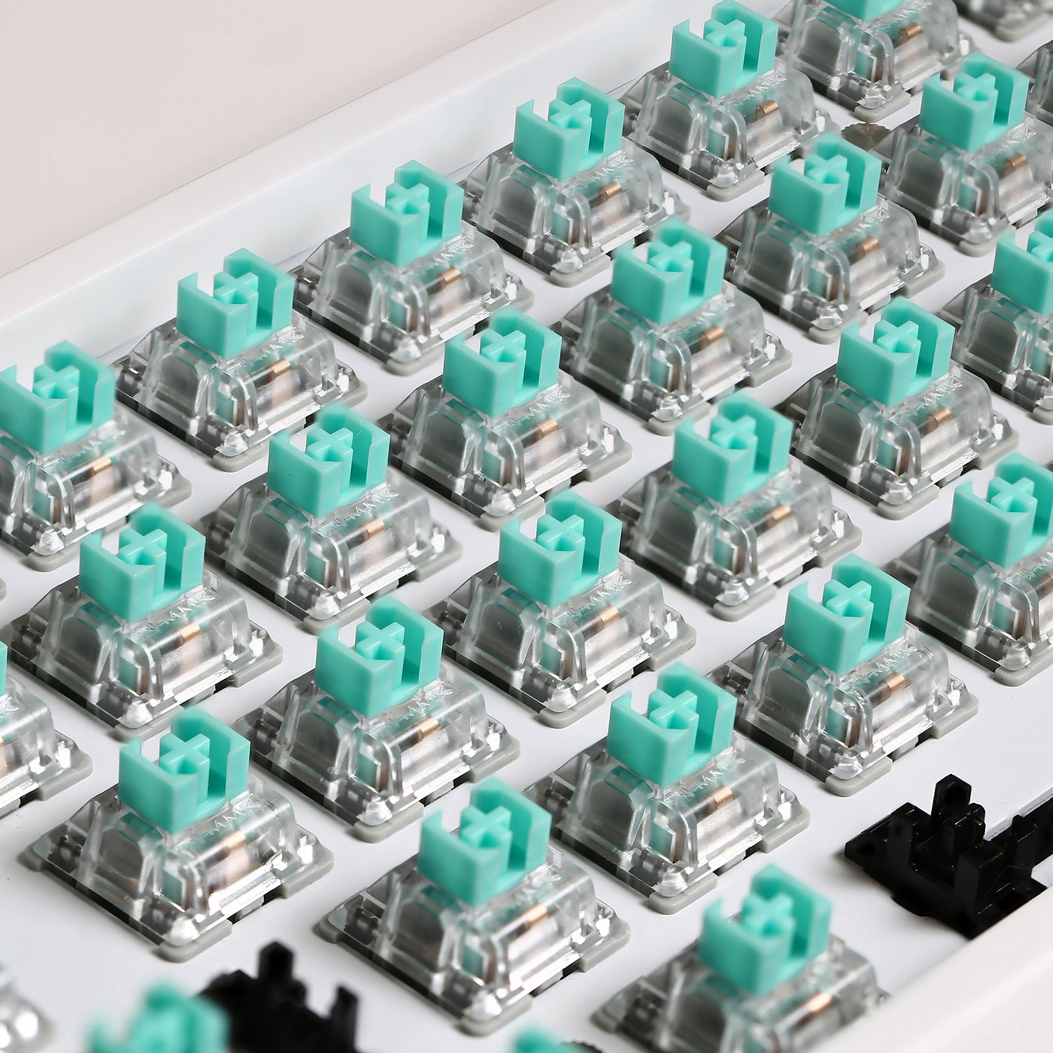 MOMOKA FROG SWITCH 108PCS BOXED VERSION | MOMOKA Store | Keyboards and  Gadgets